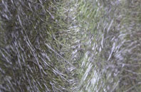 Snowshill fibreglass roof work